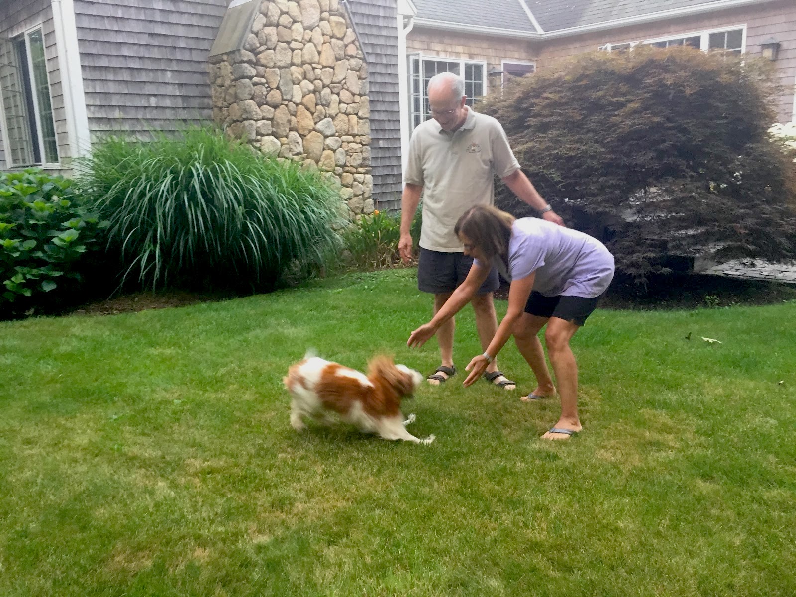 Bob and Cheryl play with their dog Spice in the grass in front of their house.