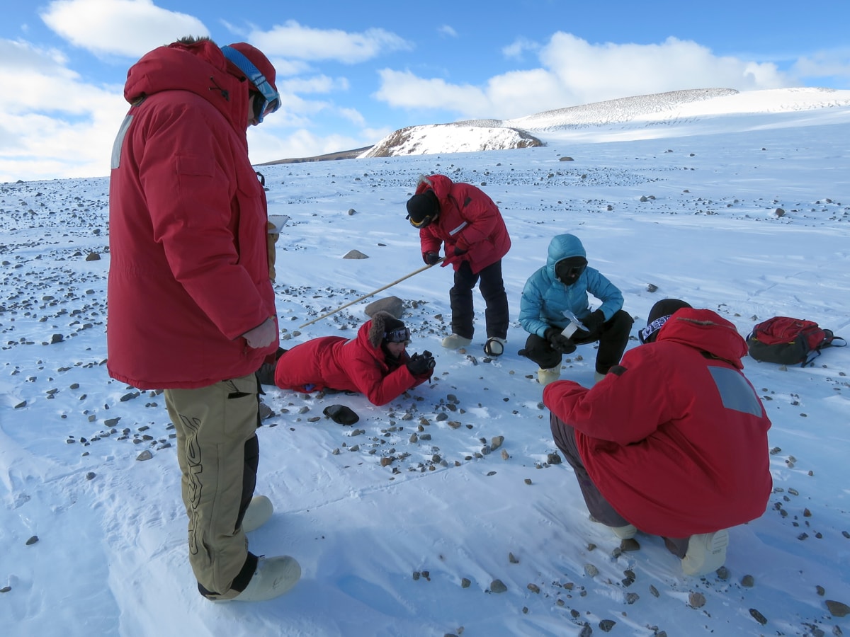 five scientists in big red jackets examine the ground for meteorites.