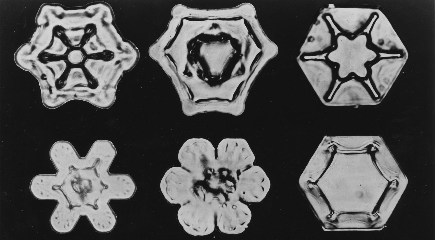 Six snowflakes with different patterns.