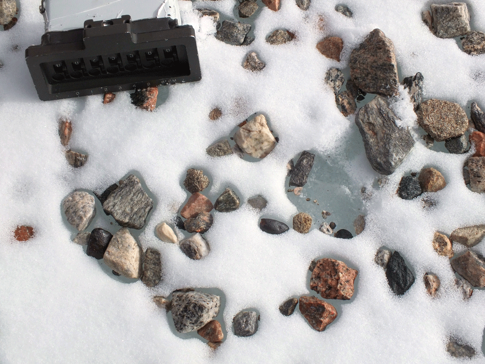 a snowy ground of rocks, with red arrows pointing towards the rocks that are meteorites.